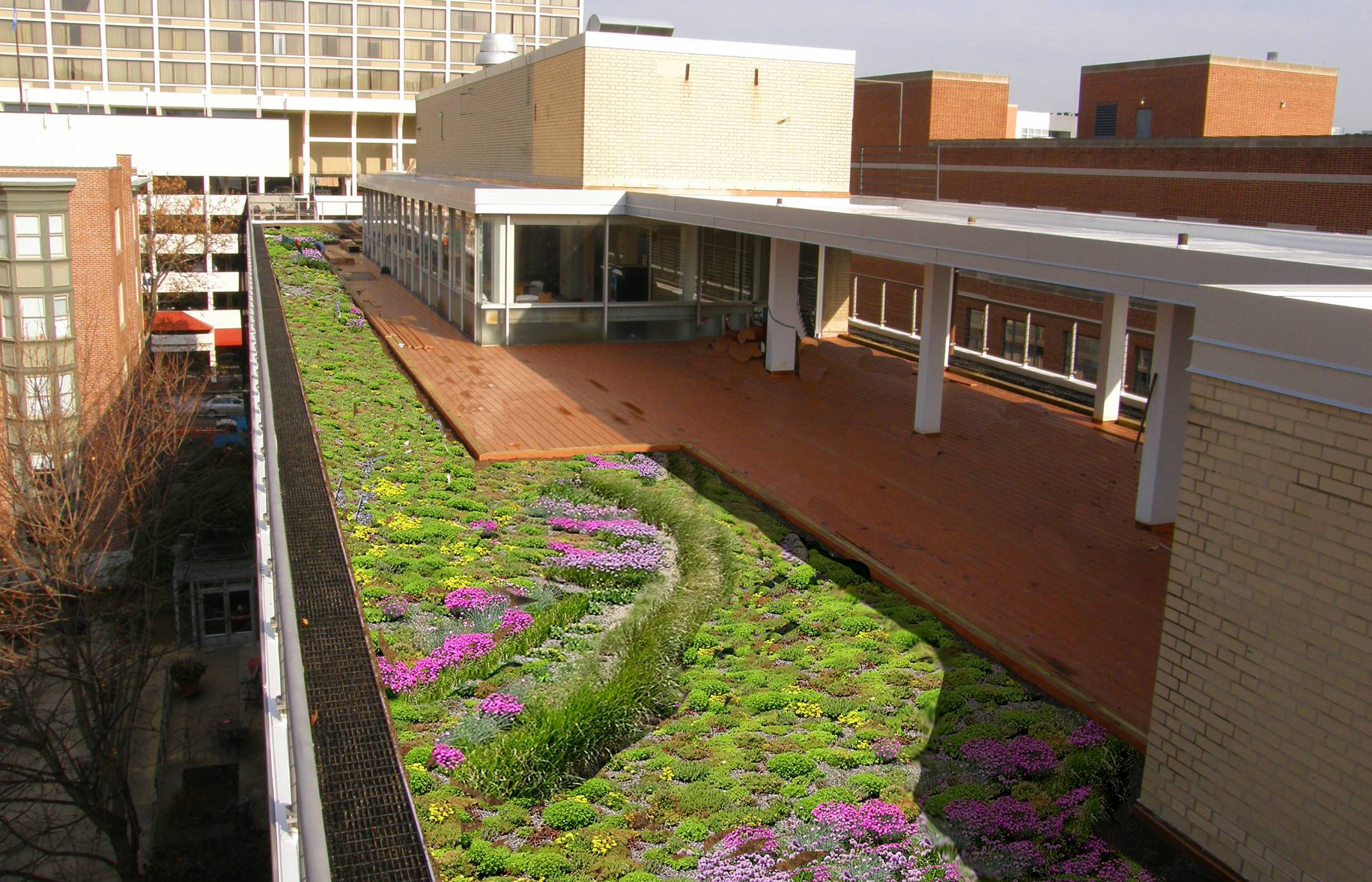 Kings Court English Rooftop Garden